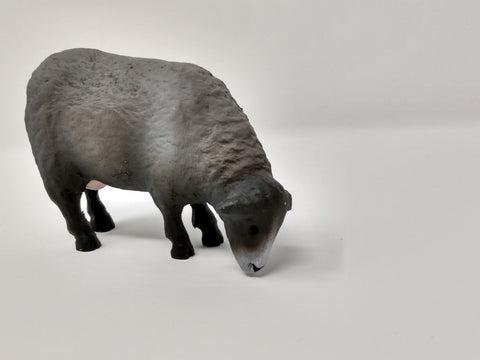 Henning Dark Sheep