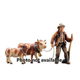 Kostner Farmer with Cattle