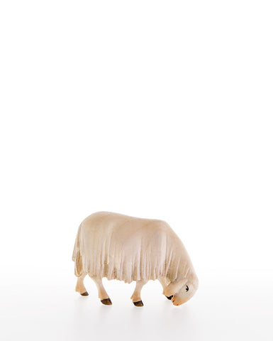 LEPI Sheep Grazing - Gloria Nativity