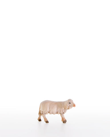 LEPI Lamb Looking to the Left - Gloria Nativity