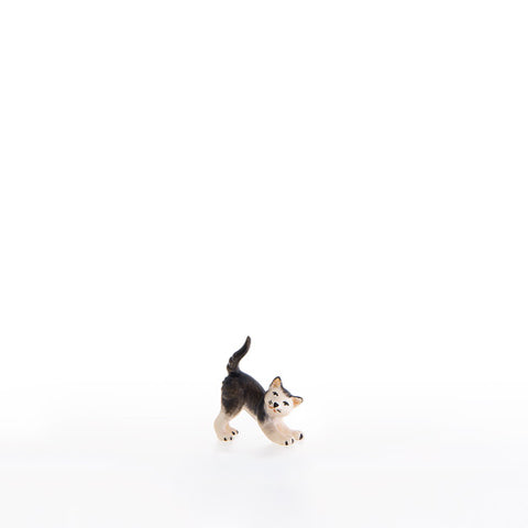 Nazarene Little Cat Purring