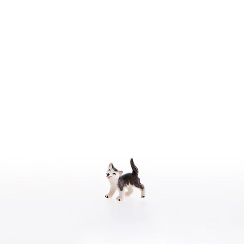 Nazarene Little Cat Running