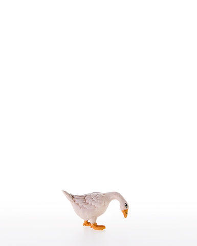 LEPI Goose Looking Down - Gloria Nativity