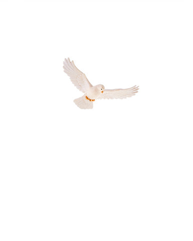 LEPI Dove - Gloria Nativity