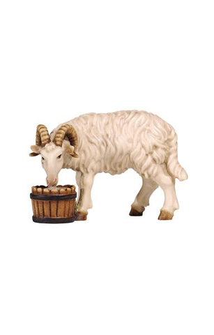 Rainell Ram with Bucket