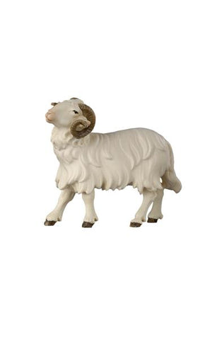 Rainell Ram Looking Left