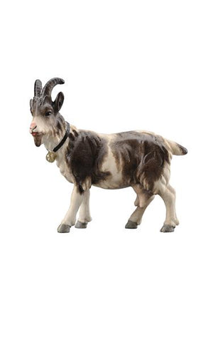 Rainell Goat with Bell Looking Left