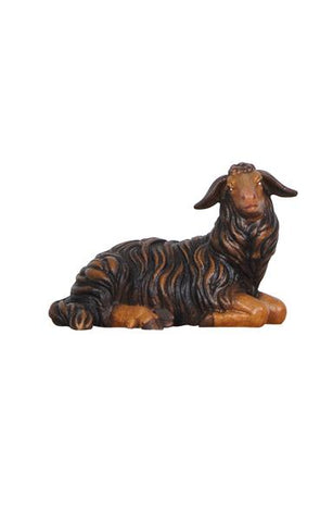 Rainell Black Sheep Lying Looking Right
