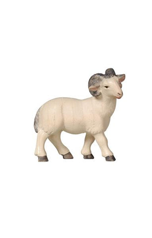 PEMA Ram - Watercolor