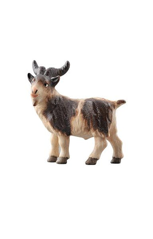 PEMA Billy Goat - Watercolor