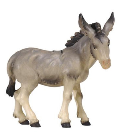 Kostner Donkey