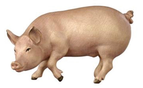 Kostner Pig