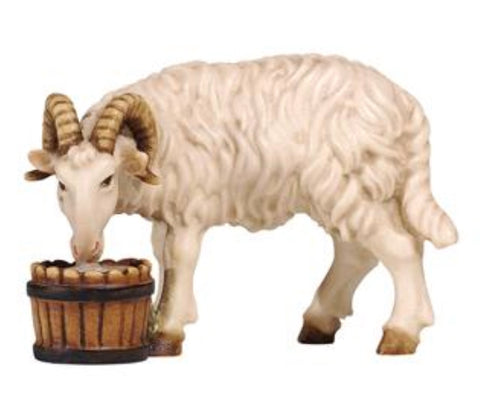 Kostner Ram with Bucket