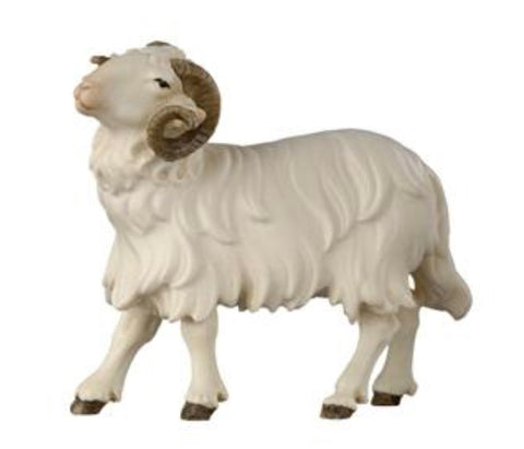 Kostner Ram Looking Left