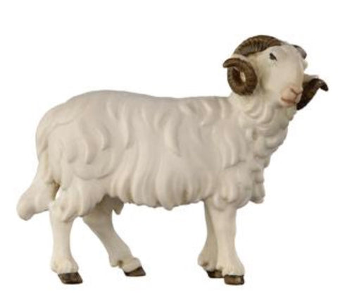 Kostner Ram Looking Right