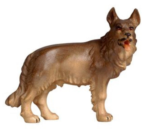 Kostner German Shepherd