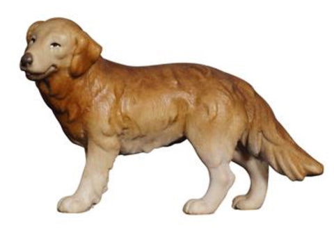 Kostner Shepherd Dog