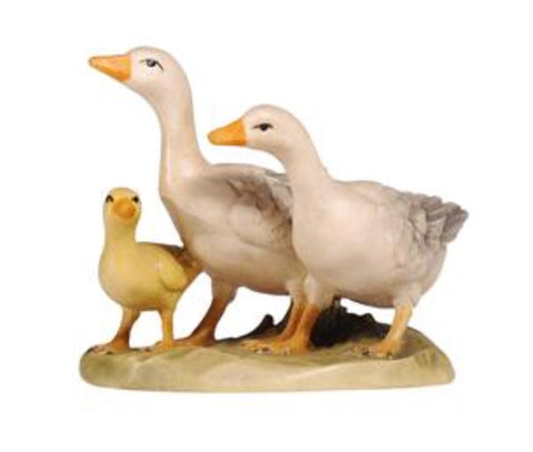 Kostner Group of Geese