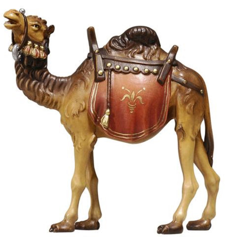 Kostner Camel
