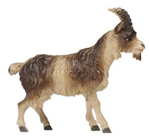 Kostner Goat Short Hair