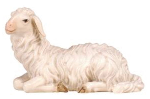 Kostner Sheep Lying Looking Left