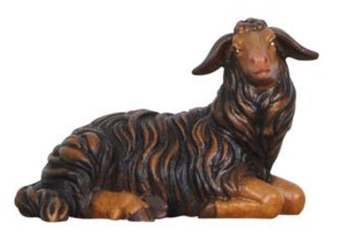 Kostner Black Sheep Lying Looking Right