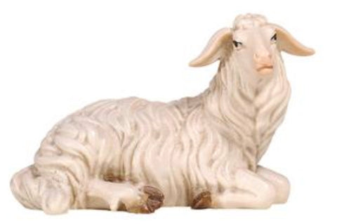 Kostner Sheep Lying Looking Right