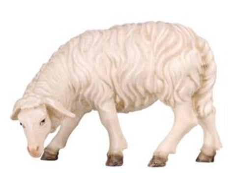 Kostner Sheep Grazing Looking Left