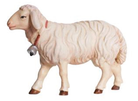 Kostner Sheep Going with Bell