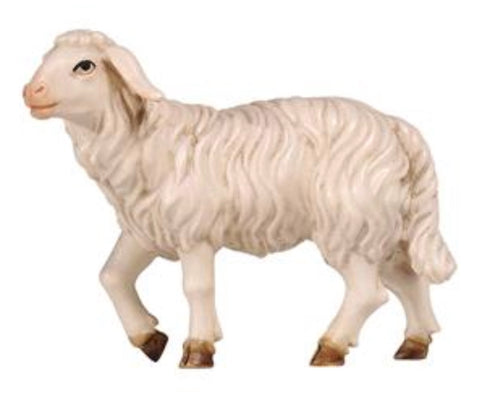 Kostner Sheep Standing with Head Up