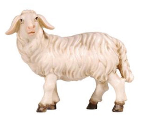 Kostner Sheep Standing Looking Left