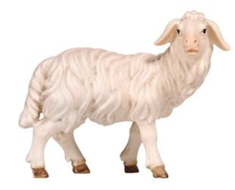 Kostner Sheep Standing Looking Right