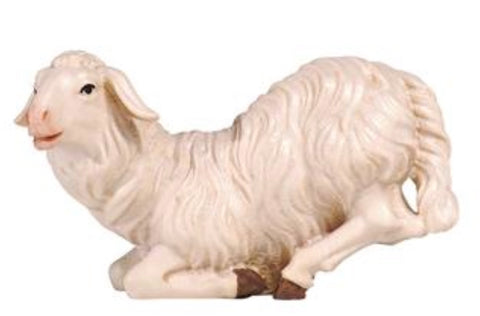 Kostner Sheep Kneeling