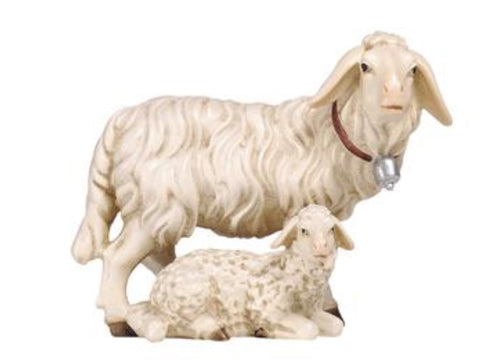 Kostner Group of Sheep