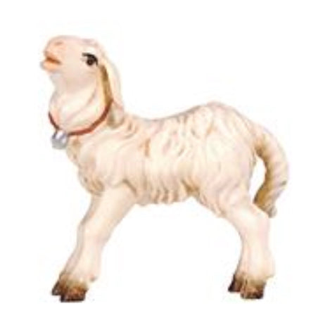 Kostner Lamb Standing