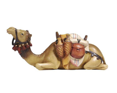 Heimatland Camel lying