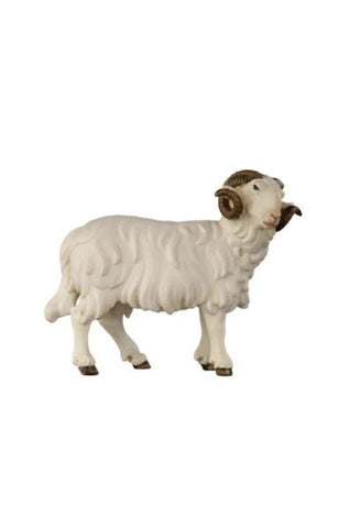 Heimatland Ram looking right