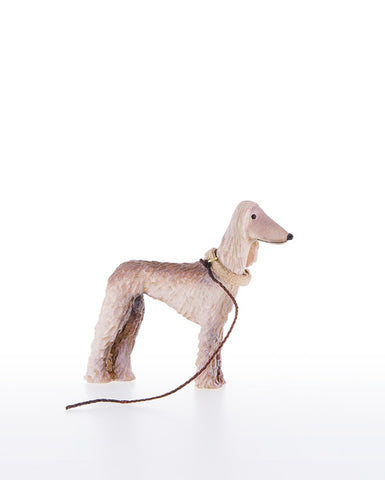 Kastlunger Afghan greyhound