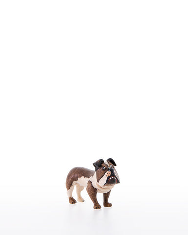 Kastlunger Bulldog