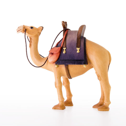 Kastlunger Camel