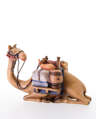 Kastlunger Camel lying - down
