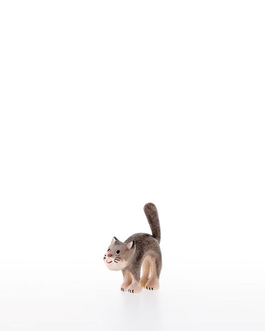 Kastlunger Cat