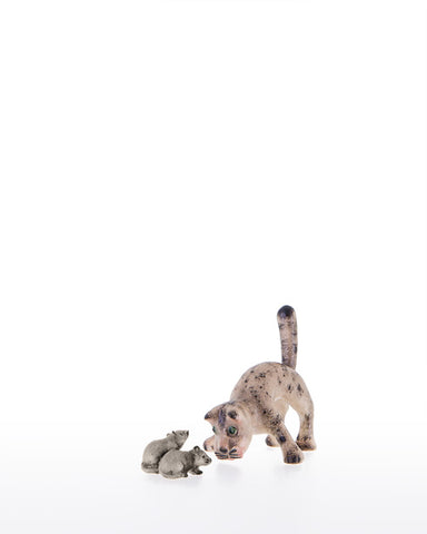 Kastlunger Cat with wide front legs