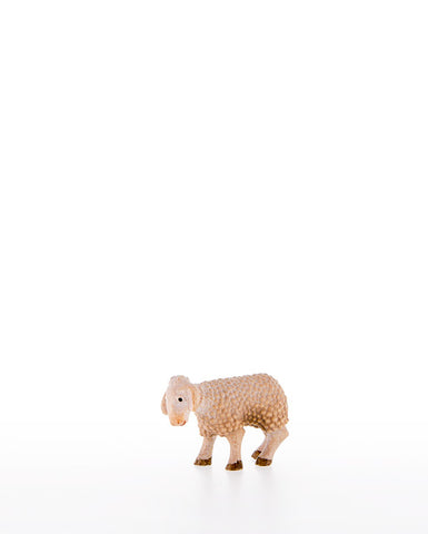 Kastlunger Lamb
