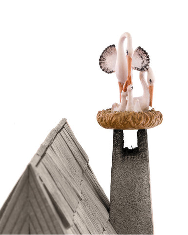 Kastlunger Storknest with Family