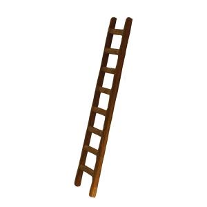 Kostner Ladder