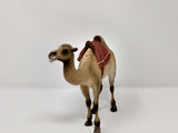 Henning Camel