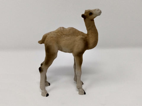 Henning Baby Camel