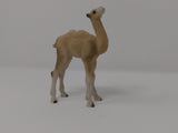 Henning Baby Camel