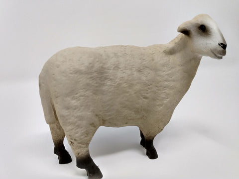 Henning Sheep